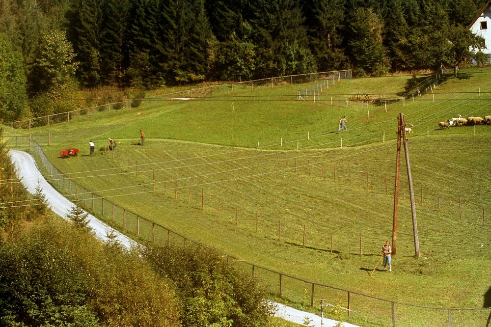 sais1994_00_352.jpg