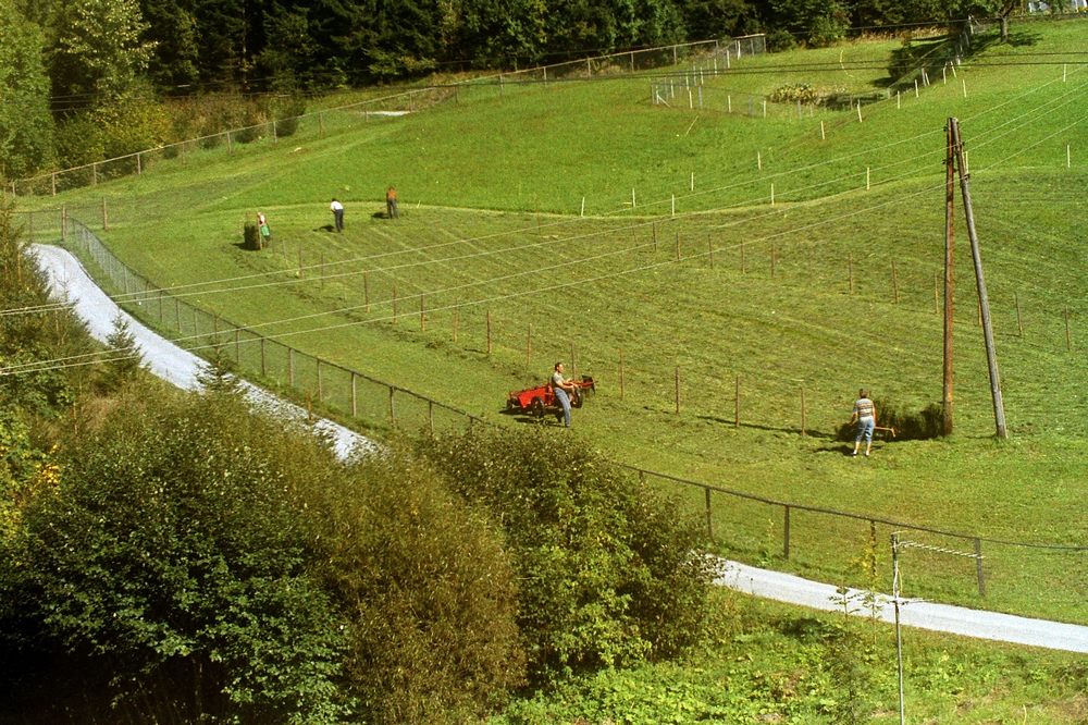 sais1994_00_358.jpg