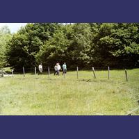sais1994_00_230.jpg