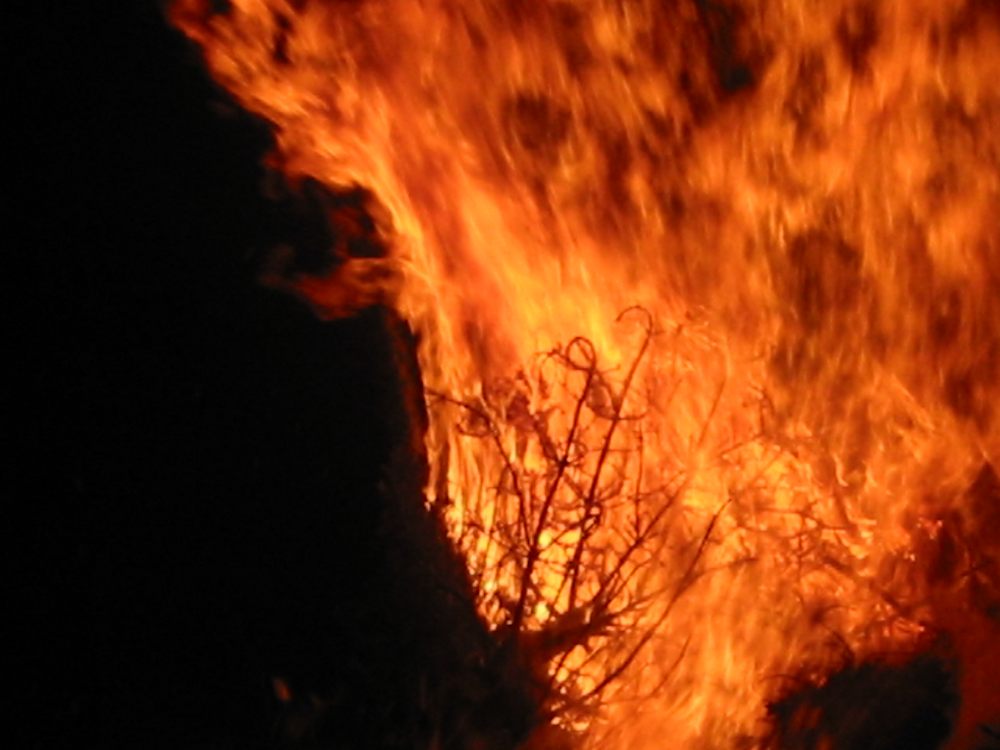 sais2002_03_432.jpg