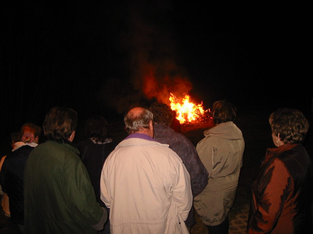 sais2002_03_450.jpg