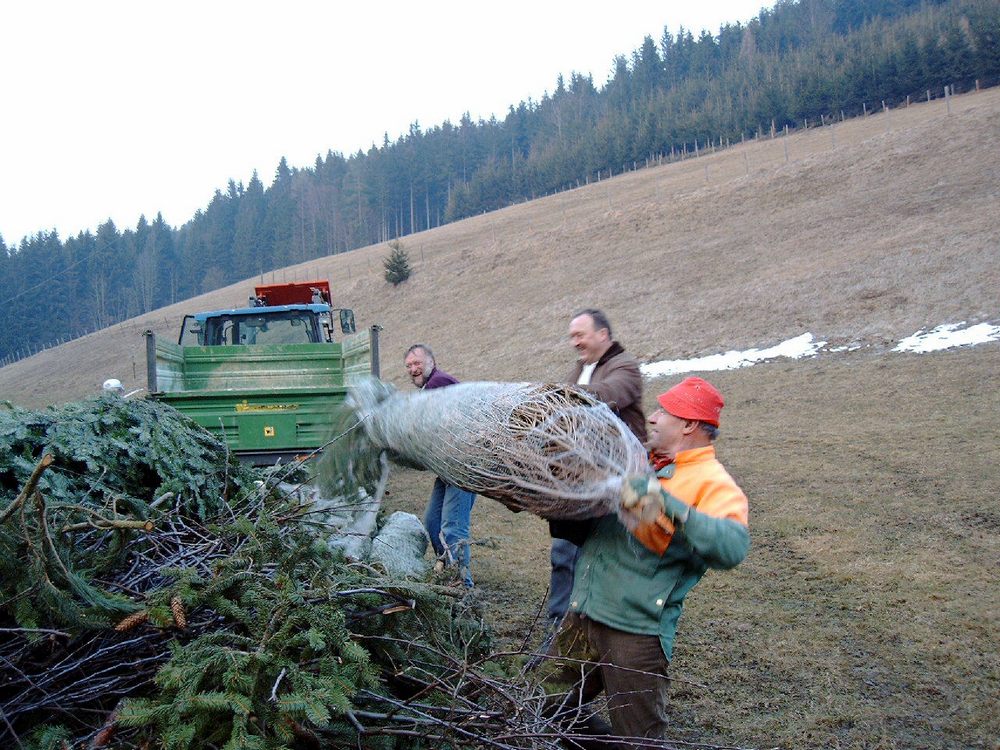 sais2004_05_364.jpg