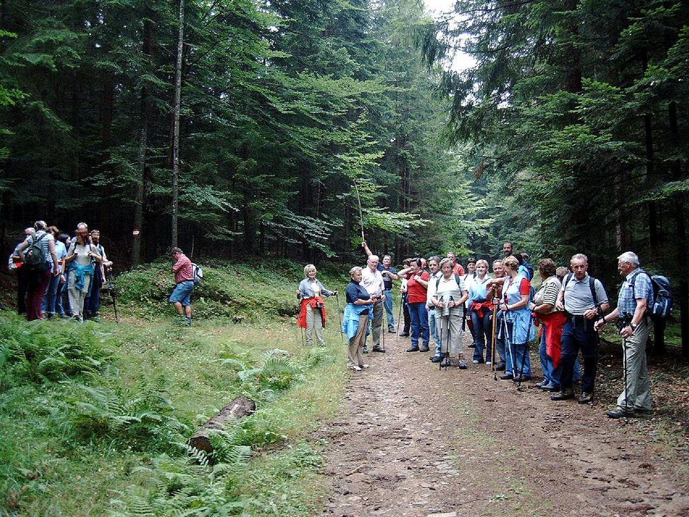 sais2004_05_794.jpg