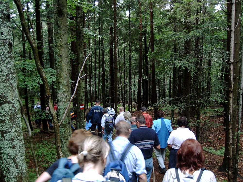 sais2004_05_800.jpg
