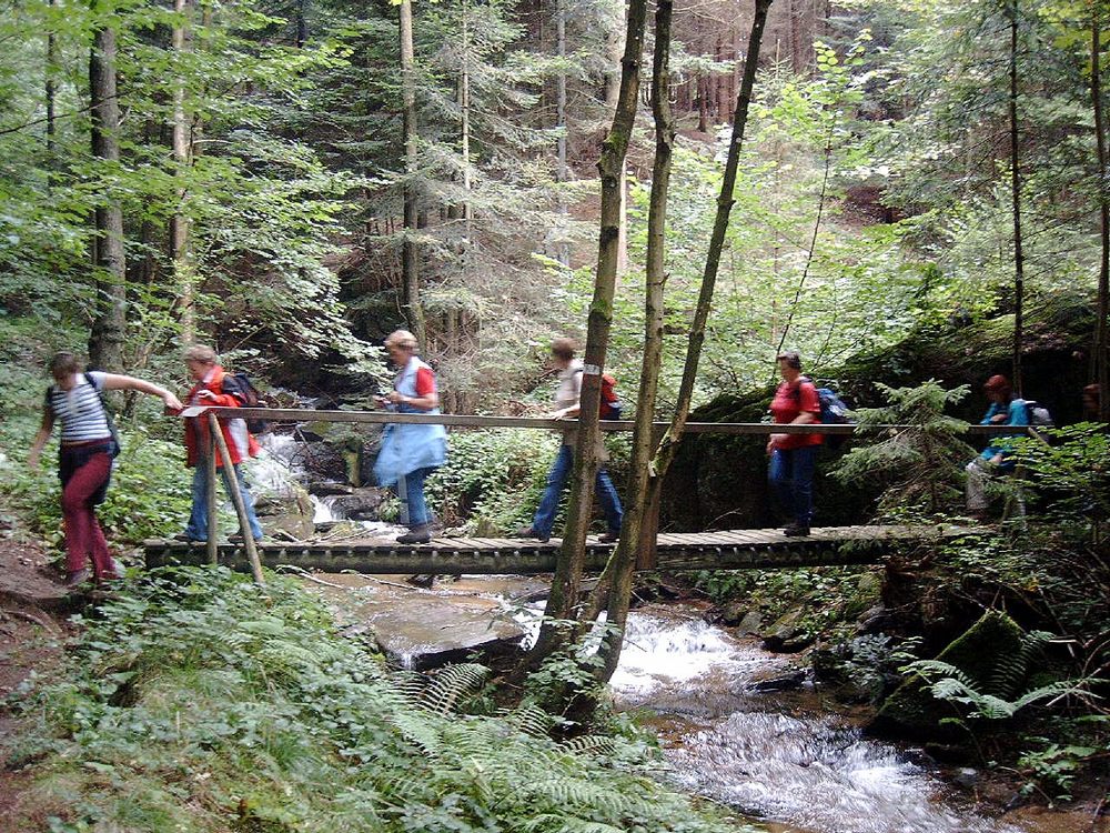 sais2004_05_840.jpg