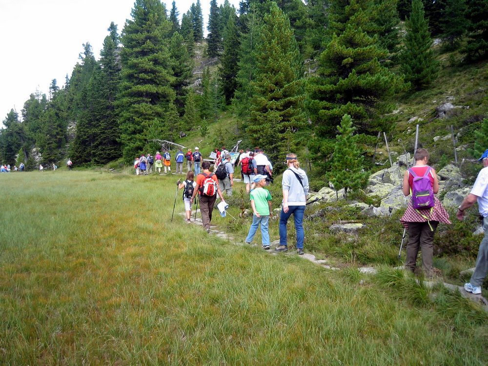 sais2005_06_636.jpg