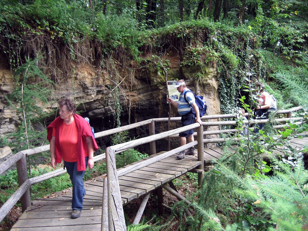 sais2007_08_754.jpg