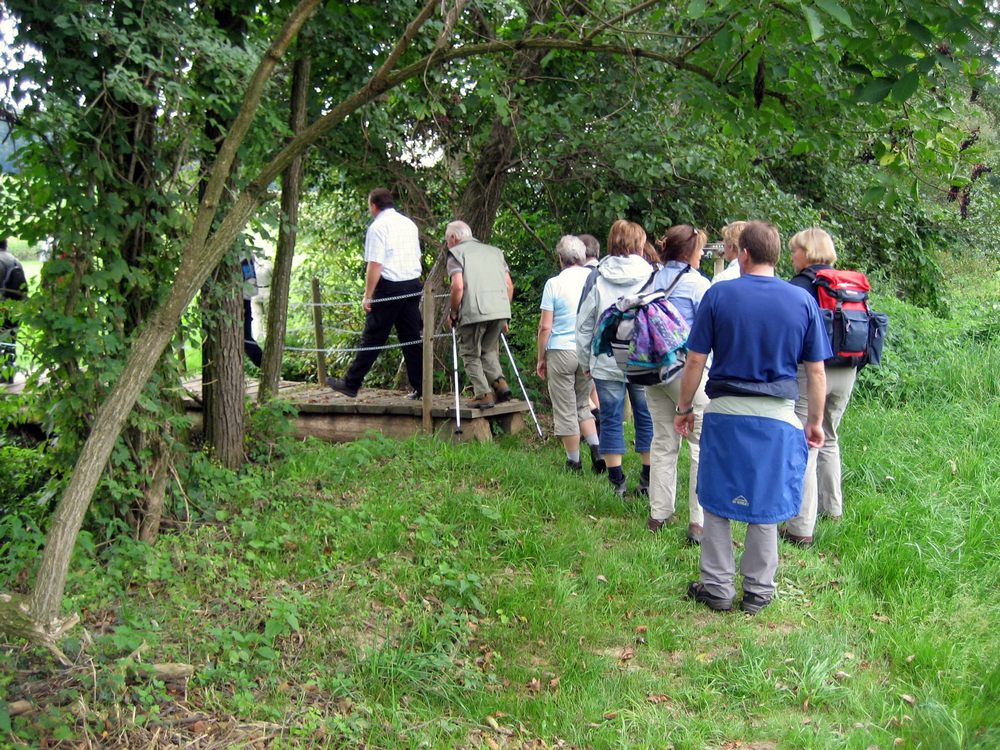 sais2007_08_784.jpg
