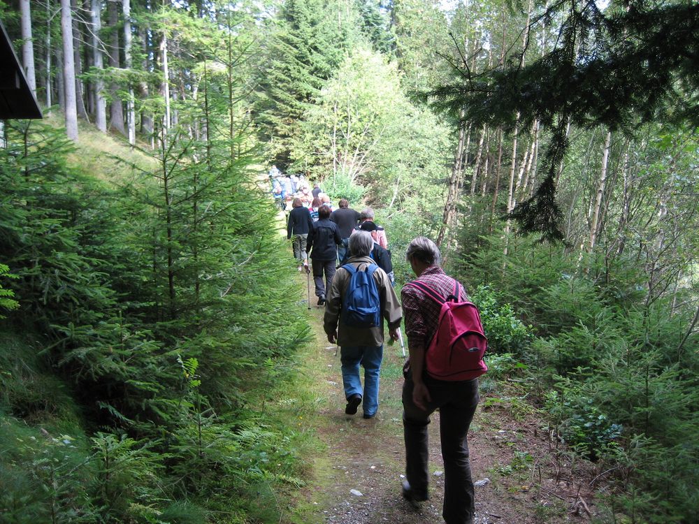 sais2009_10_188.jpg