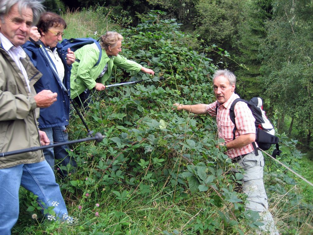 sais2009_10_254.jpg