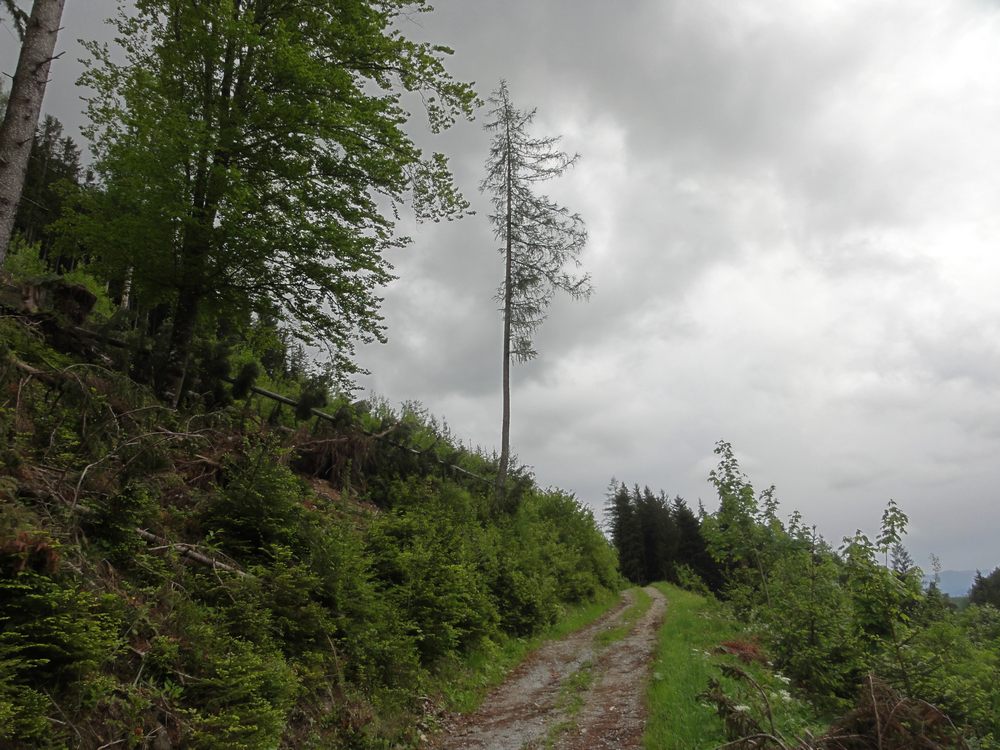 sais2012_13_258.jpg