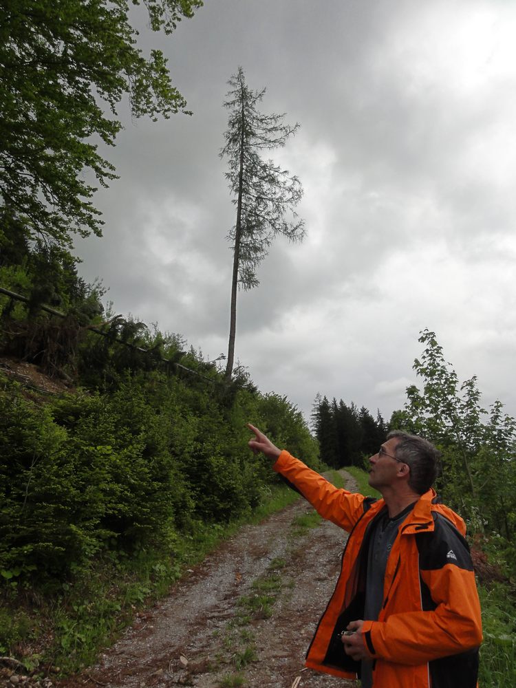 sais2012_13_260.jpg