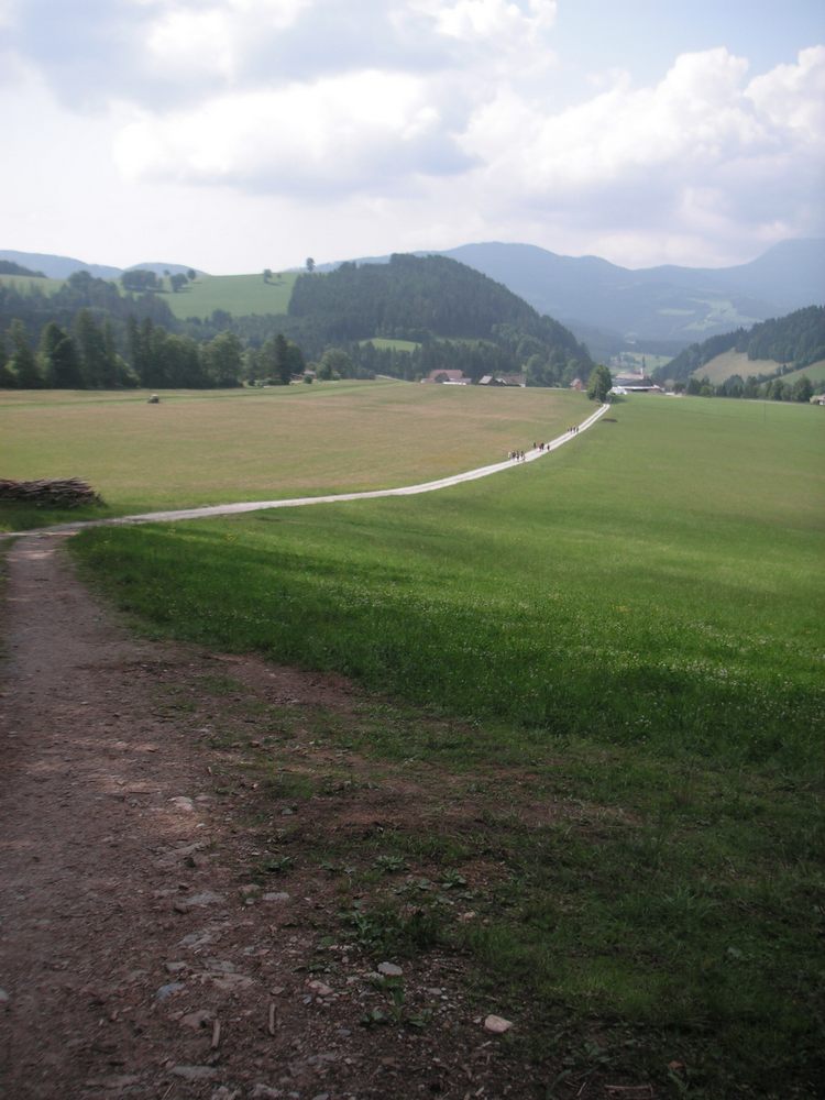 sais2012_13_358.jpg
