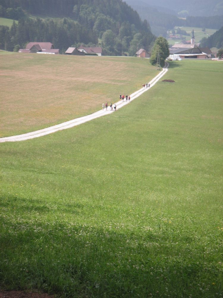 sais2012_13_360.jpg
