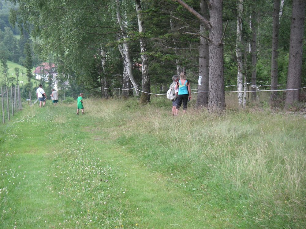 sais2012_13_448.jpg