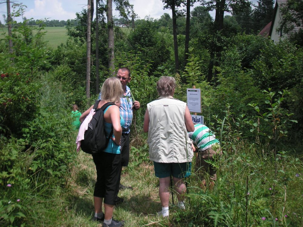sais2012_13_456.jpg