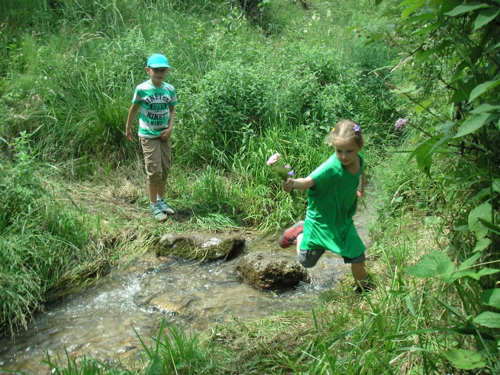 sais2012_13_458.jpg