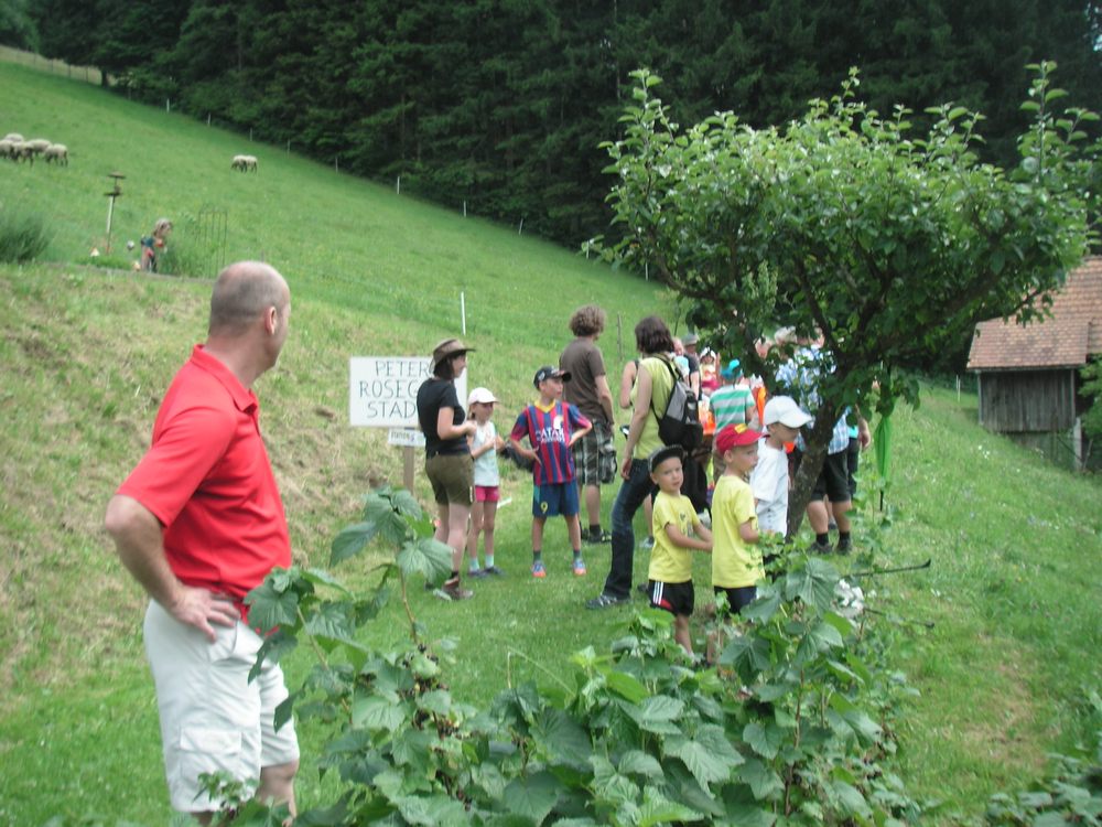 sais2012_13_556.jpg