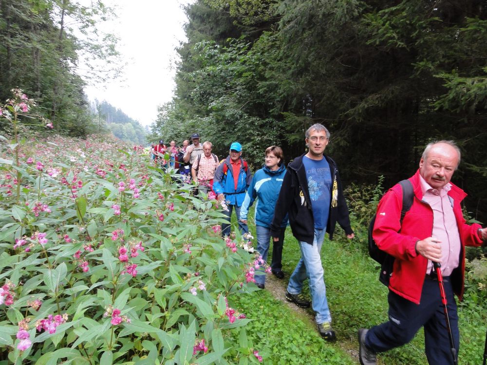 sais2012_13_784.jpg