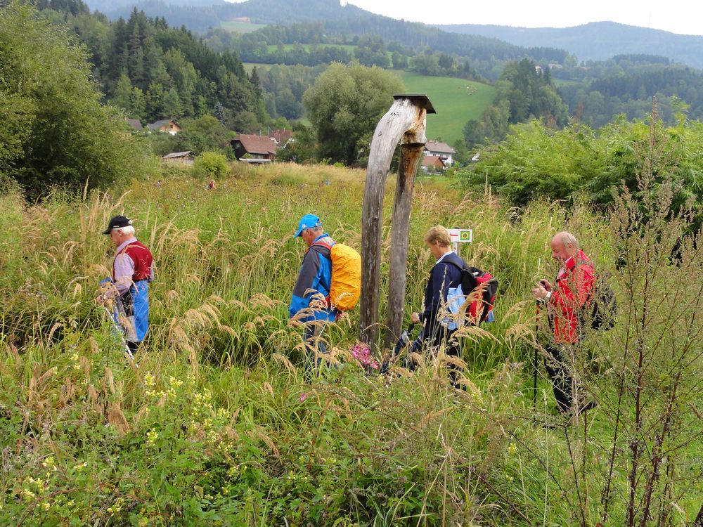 sais2012_13_790.jpg