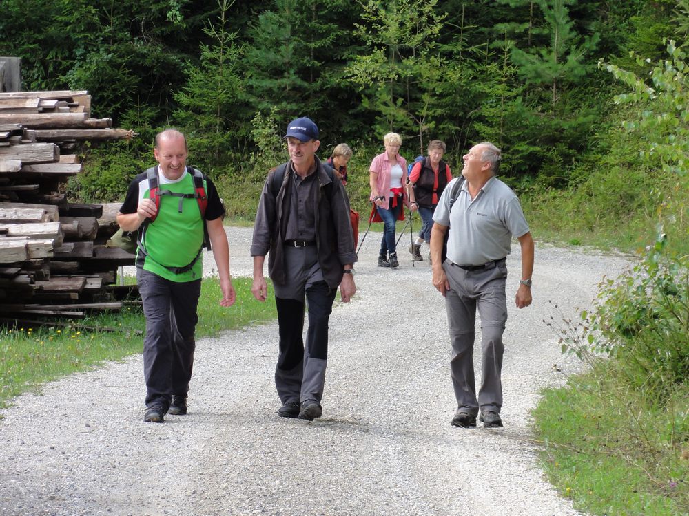 sais2012_13_794.jpg