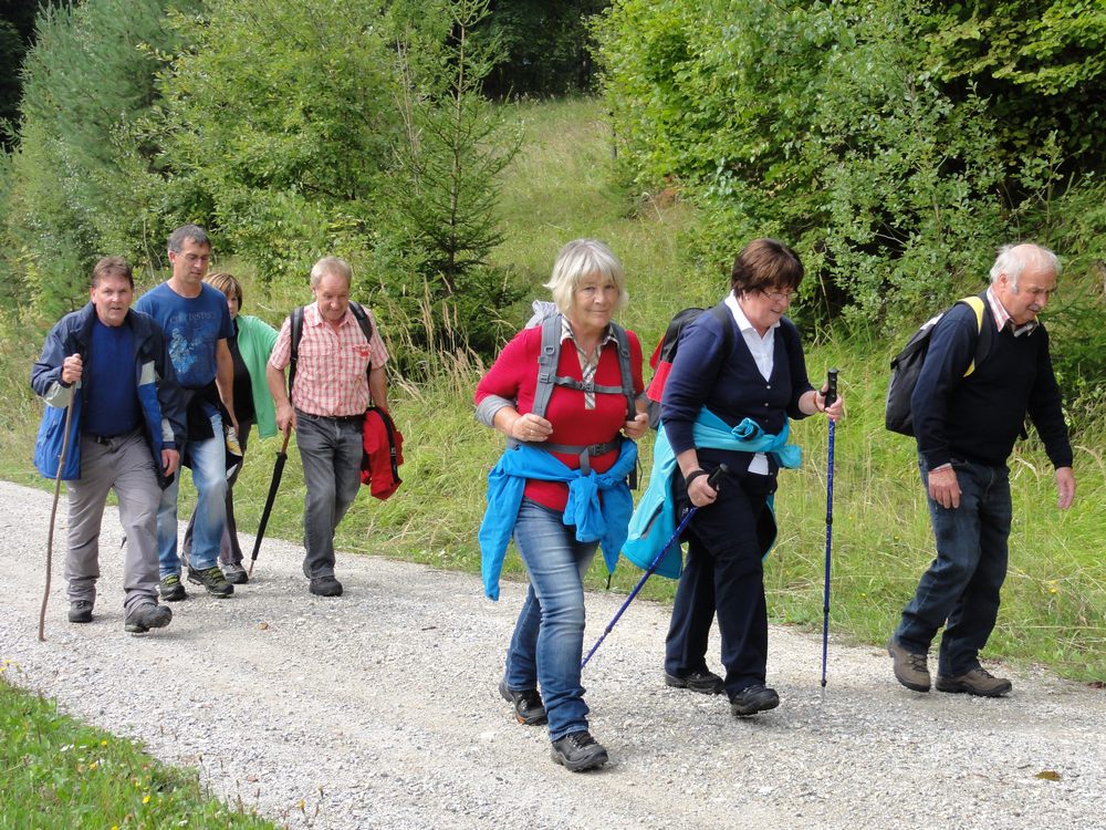 sais2012_13_800.jpg