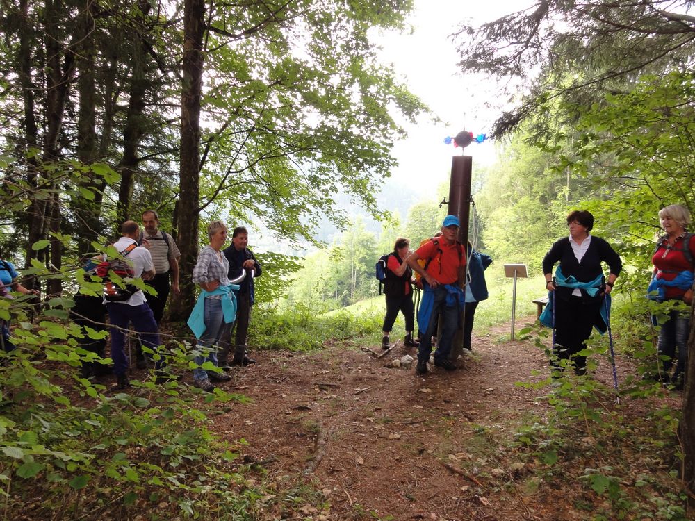 sais2012_13_802.jpg