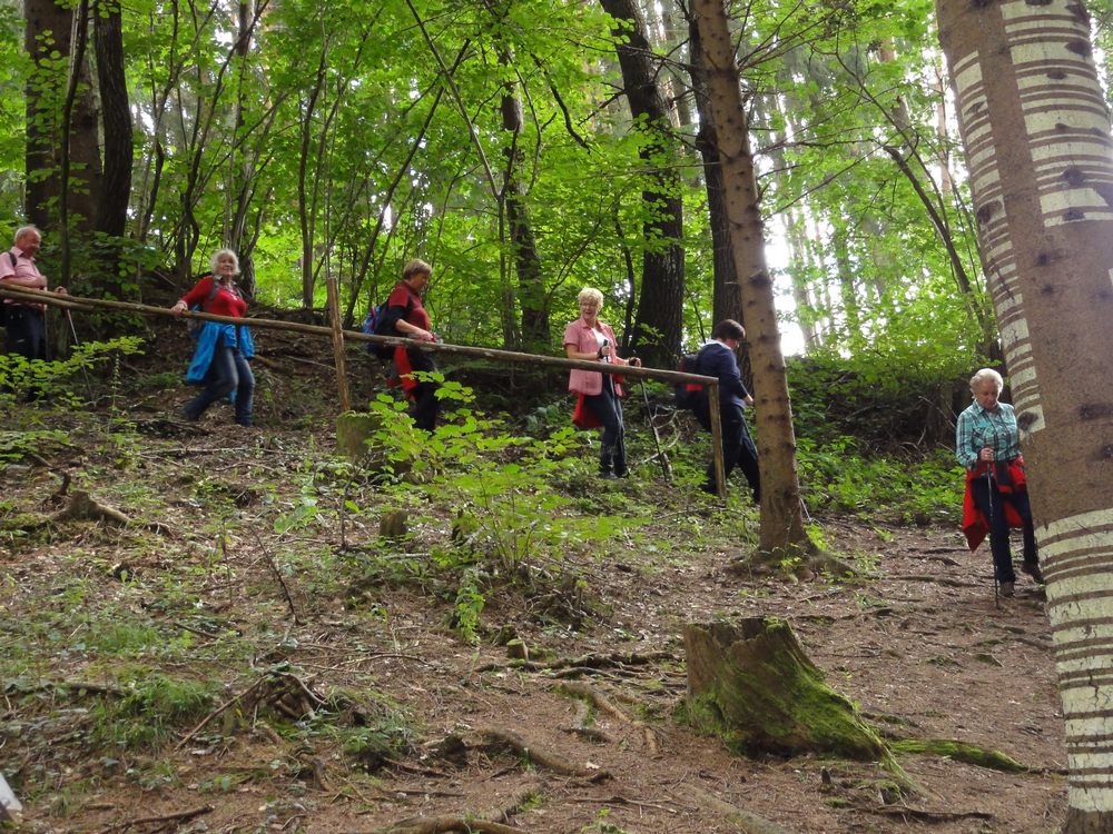 sais2012_13_848.jpg