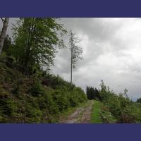 Sais2012_13_258.JPG