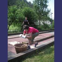 sais2012_13_276.jpg