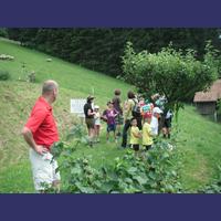 sais2012_13_556.jpg