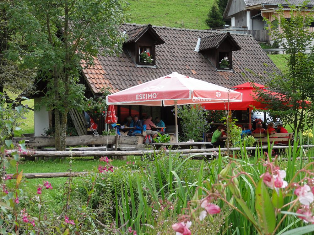 sais2013_14_522.jpg