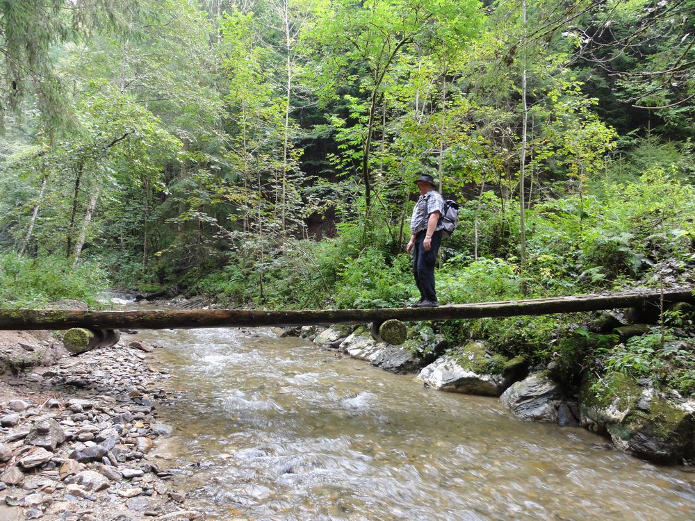 sais2013_14_540.jpg