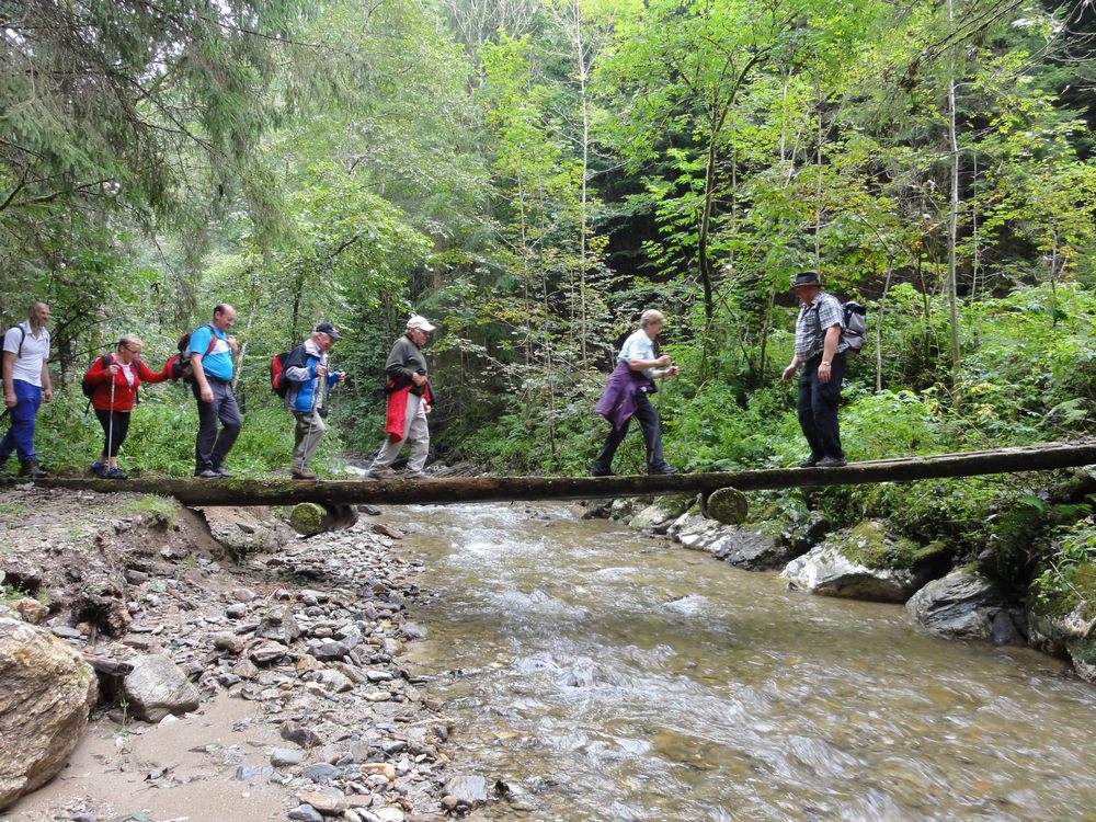 sais2013_14_542.jpg