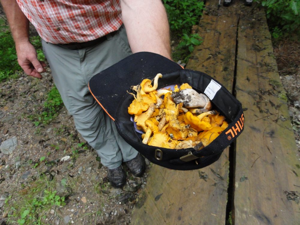 sais2013_14_546.jpg