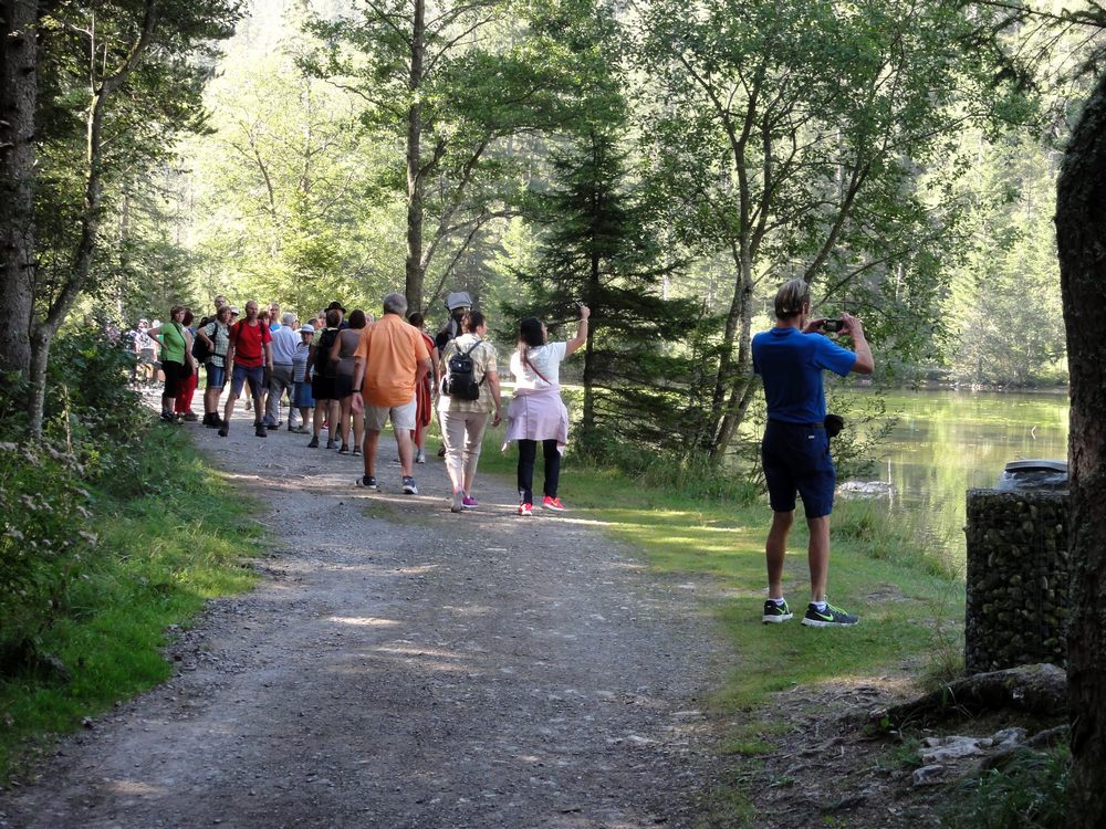 sais2014_15_436.jpg