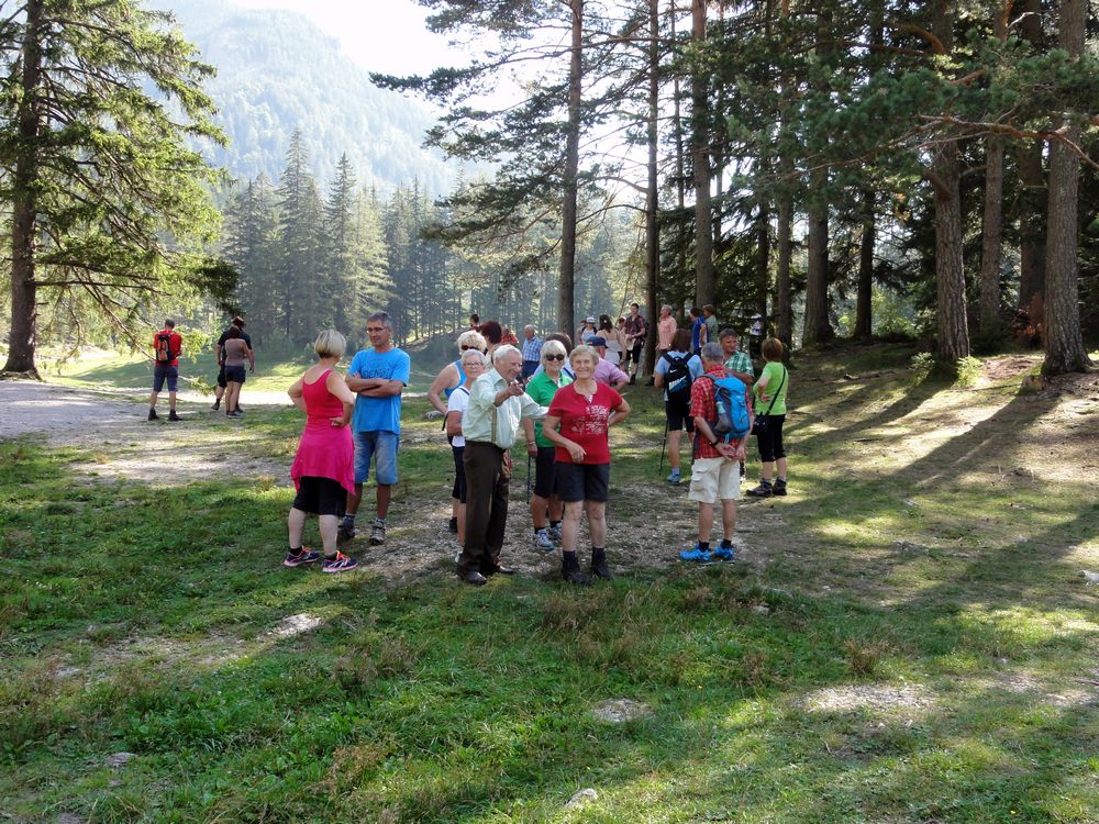 sais2014_15_464.jpg