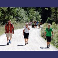 sais2014_15_500.jpg