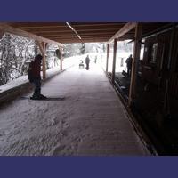 img_20211128_140837.jpg
