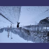 schnee023_120.jpg